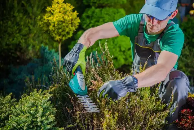 landscaping services Morehead